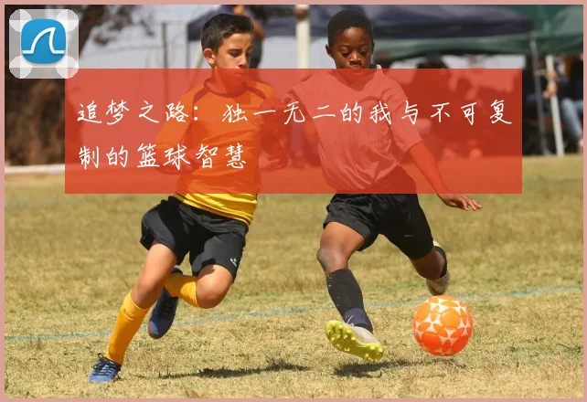 追梦之路：独一无二的我与不可复制的篮球智慧