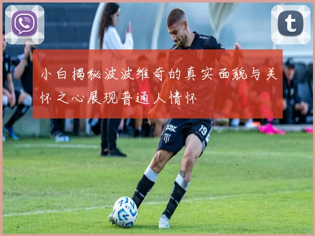 小白揭秘波波维奇的真实面貌与关怀之心展现普通人情怀